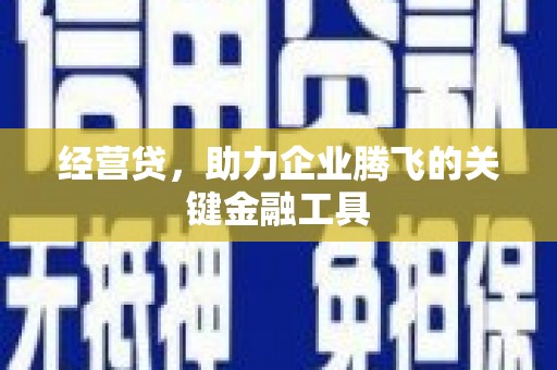 宝塔经营贷，助力企业腾飞的关键金融工具