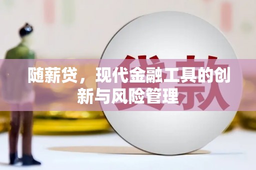 宝塔随薪贷，现代金融工具的创新与风险管理