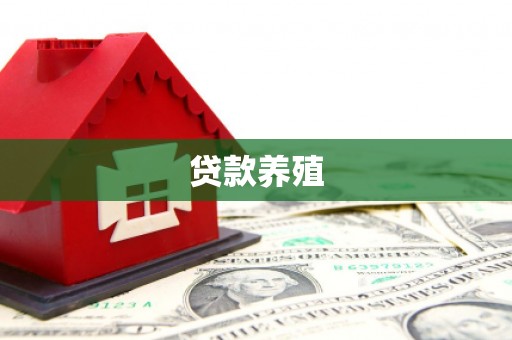 宝塔贷款养殖