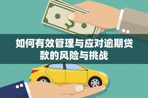 宝塔如何有效管理与应对逾期贷款的风险与挑战