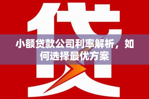 宝塔小额贷款公司利率解析，如何选择最优方案