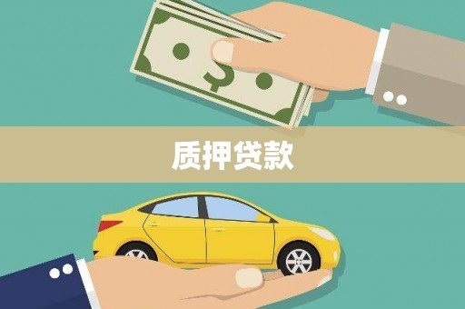 宝塔质押贷款