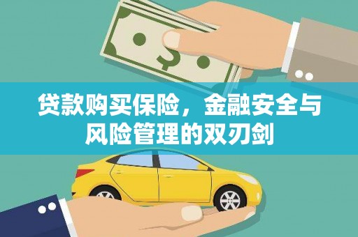 宝塔贷款购买保险，金融安全与风险管理的双刃剑
