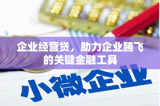 宝塔企业经营贷，助力企业腾飞的关键金融工具