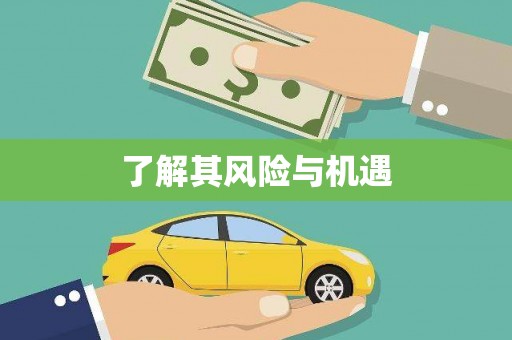 宝塔了解其风险与机遇