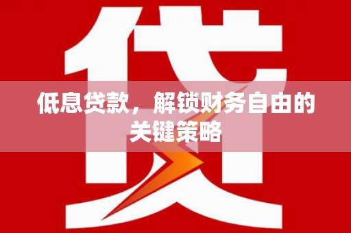 宝塔低息贷款，解锁财务自由的关键策略