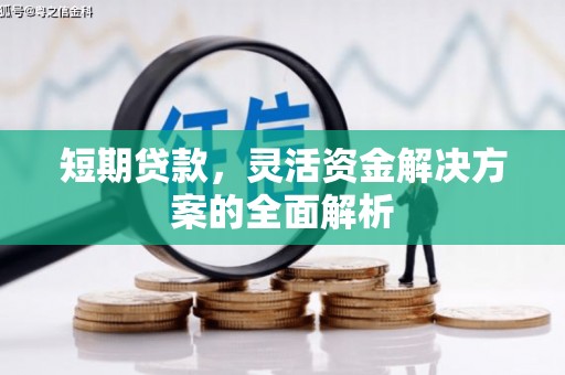 宝塔短期贷款，灵活资金解决方案的全面解析