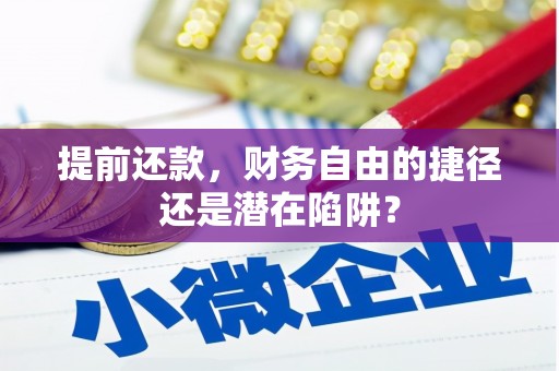 宝塔提前还款，财务自由的捷径还是潜在陷阱？
