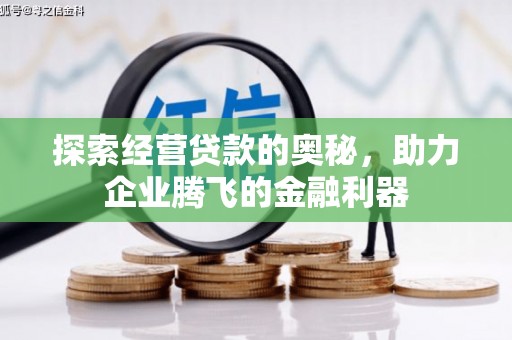 宝塔探索经营贷款的奥秘，助力企业腾飞的金融利器