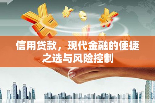 宝塔信用贷款，现代金融的便捷之选与风险控制