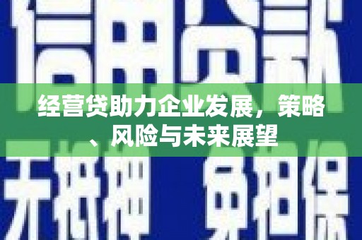 宝塔经营贷助力企业发展，策略、风险与未来展望