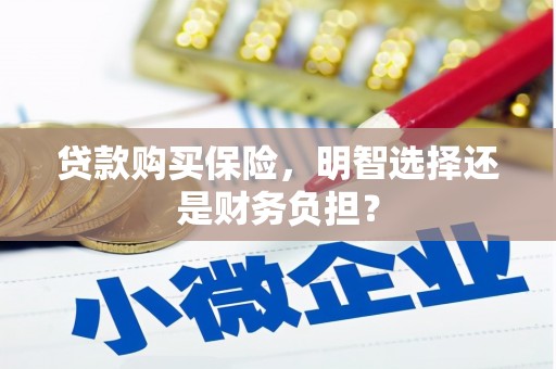 宝塔贷款购买保险，明智选择还是财务负担？