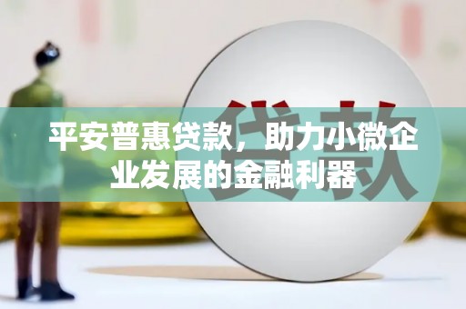 宝塔平安普惠贷款，助力小微企业发展的金融利器
