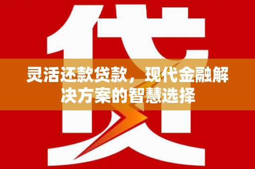 宝塔灵活还款贷款，现代金融解决方案的智慧选择