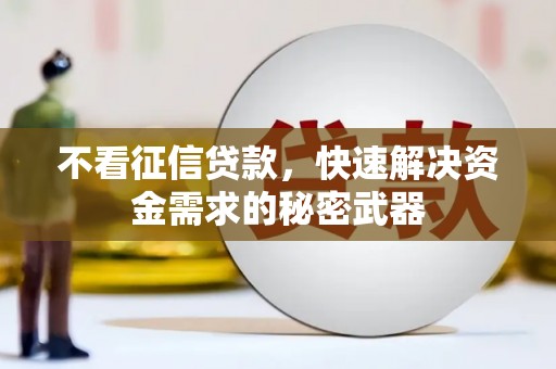 宝塔不看征信贷款，快速解决资金需求的秘密武器