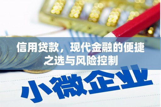 宝塔信用贷款，现代金融的便捷之选与风险控制