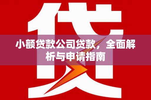 宝塔小额贷款公司贷款，全面解析与申请指南