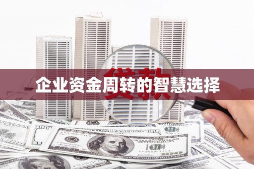 宝塔企业资金周转的智慧选择