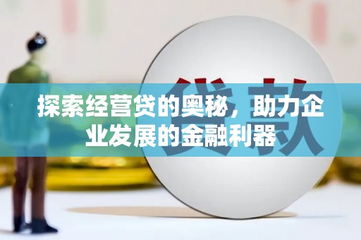 宝塔探索经营贷的奥秘，助力企业发展的金融利器