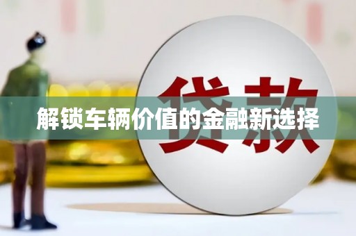 宝塔解锁车辆价值的金融新选择