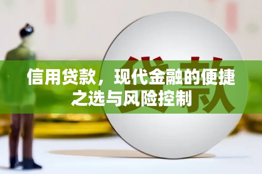 宝塔信用贷款，现代金融的便捷之选与风险控制