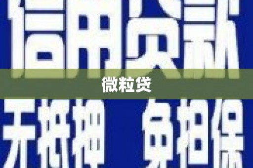 宝塔微粒贷