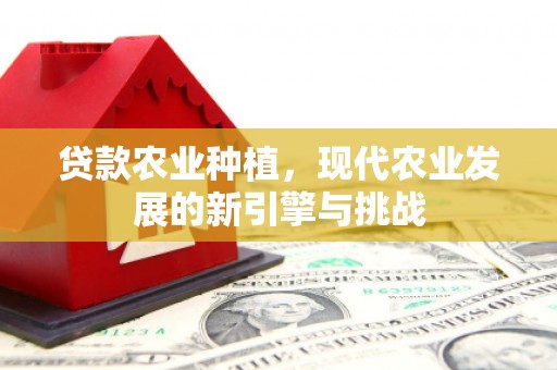 宝塔贷款农业种植，现代农业发展的新引擎与挑战