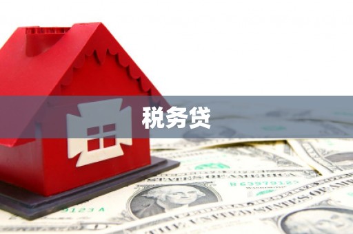 宝塔税务贷