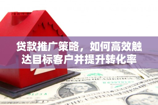 宝塔贷款推广策略，如何高效触达目标客户并提升转化率