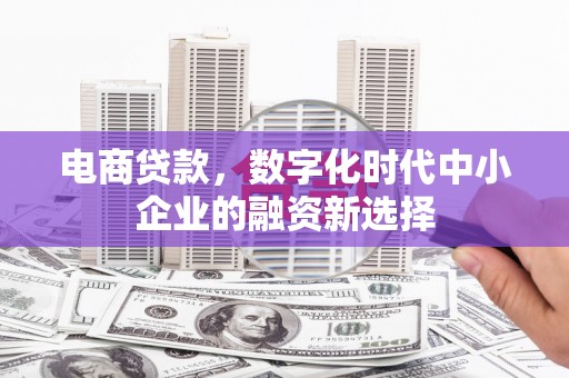 宝塔电商贷款，数字化时代中小企业的融资新选择