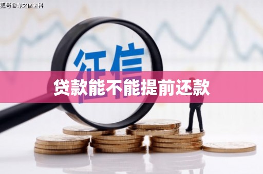 宝塔贷款能不能提前还款