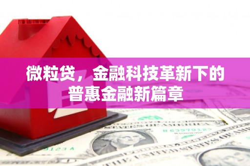 宝塔微粒贷，金融科技革新下的普惠金融新篇章