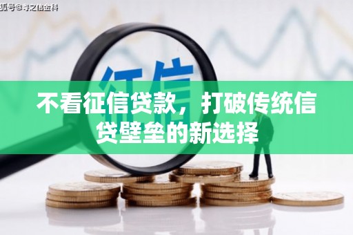宝塔不看征信贷款，打破传统信贷壁垒的新选择