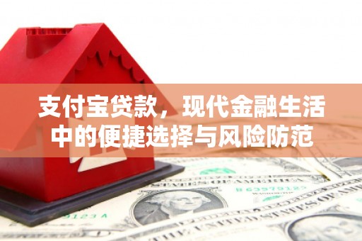 宝塔支付宝贷款，现代金融生活中的便捷选择与风险防范