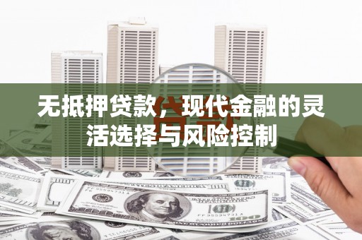 宝塔无抵押贷款，现代金融的灵活选择与风险控制