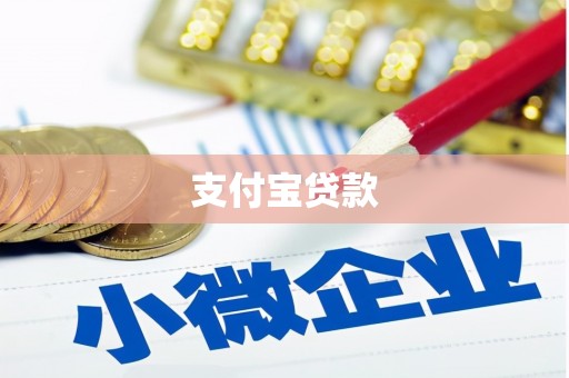 宝塔支付宝贷款