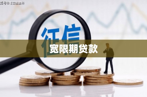 宝塔宽限期贷款