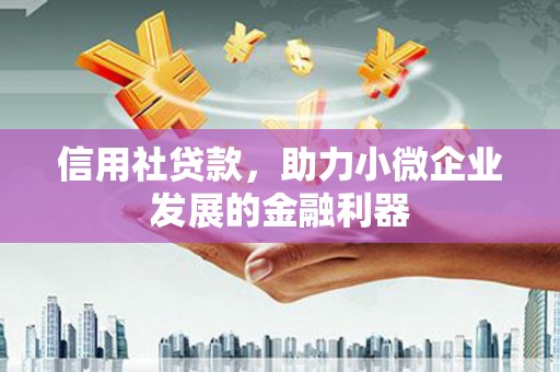 宝塔信用社贷款，助力小微企业发展的金融利器