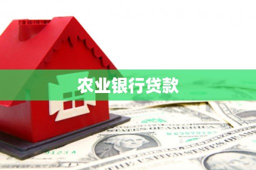 宝塔农业银行贷款