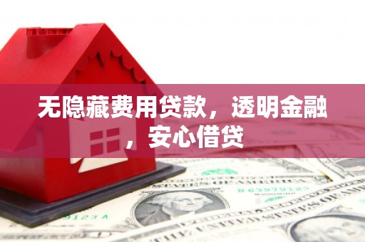 宝塔无隐藏费用贷款，透明金融，安心借贷
