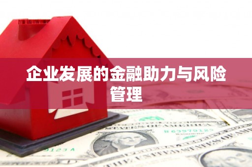 宝塔企业发展的金融助力与风险管理