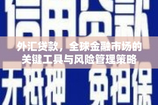 宝塔外汇贷款，全球金融市场的关键工具与风险管理策略