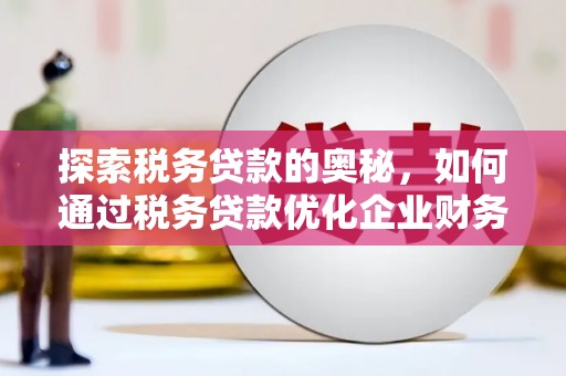 宝塔探索税务贷款的奥秘，如何通过税务贷款优化企业财务