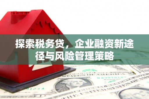 宝塔探索税务贷，企业融资新途径与风险管理策略
