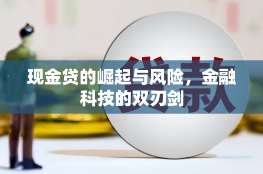 宝塔现金贷的崛起与风险，金融科技的双刃剑
