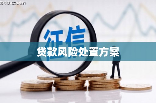 宝塔贷款风险处置方案