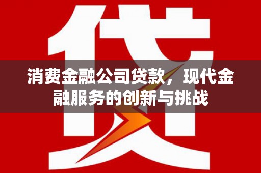 宝塔消费金融公司贷款，现代金融服务的创新与挑战