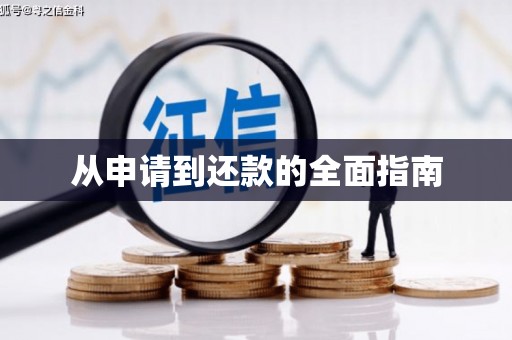 宝塔从申请到还款的全面指南