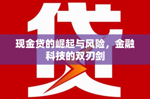 宝塔现金贷的崛起与风险，金融科技的双刃剑