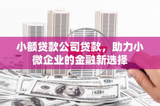 宝塔小额贷款公司贷款，助力小微企业的金融新选择